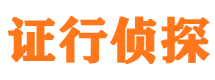 宁江市私家侦探